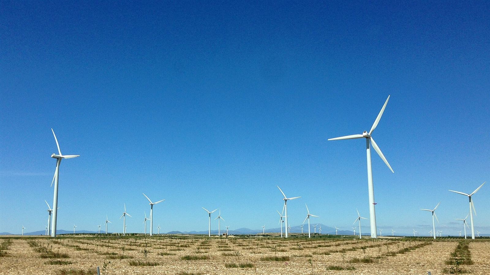 Wind turbines across a dry field under blue sky